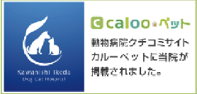 動物病院口コミサイト、カルーペットに当院が掲載されました。